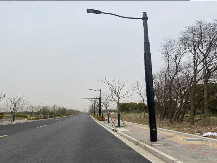 湖北上海综合杆 太阳能路灯工程